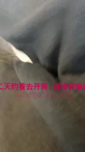 拿下杭州上城区健身肌肉腿母狗已认主