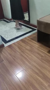 [原创]性爱日记之公司翻译