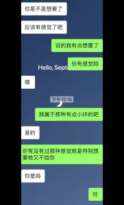 聊天记录，带验证